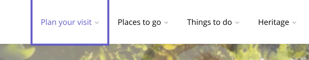 Bold purple focus indicators in navigation