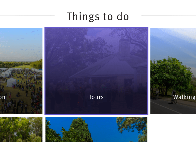 Focus indicators appear in main content as purple overlays on linked images